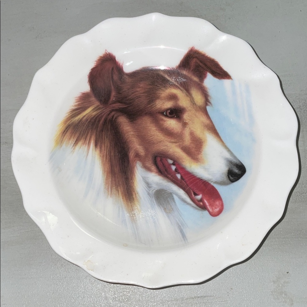Sanford fine bone china miniature collectors’ plate with collie dog face
